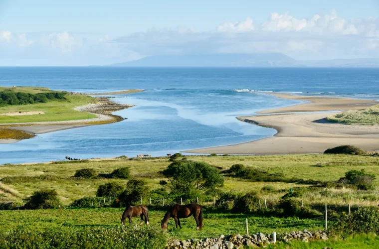 Wilder Ozean, mittelalterliche Burgen und grüne Wiesen – Der Wilde Atlantische Weg in Irland