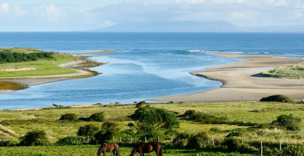 Wilder Ozean, mittelalterliche Burgen und grüne Wiesen – Der Wilde Atlantische Weg in Irland